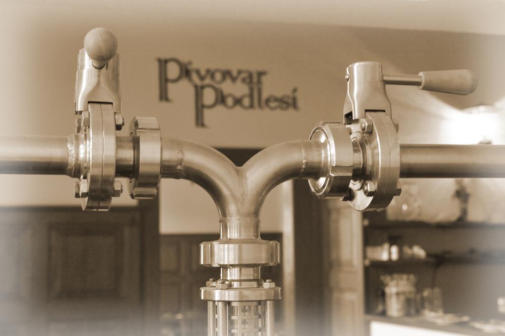 Penzion Pivovar Podlesi Příbram Buitenkant foto